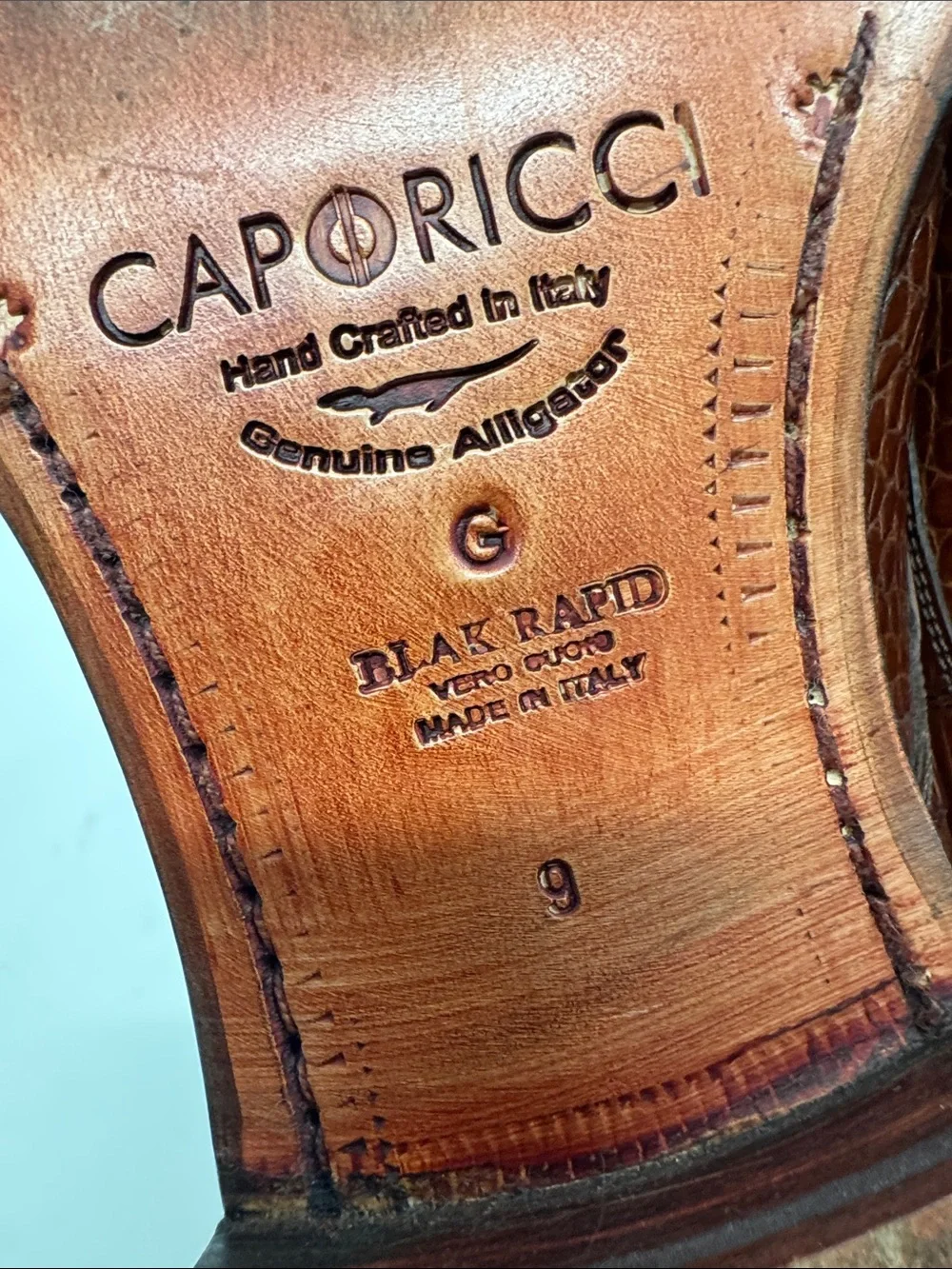 Caporicci genuine alligator 🐊 Leather Monk Strap Shoes size 9